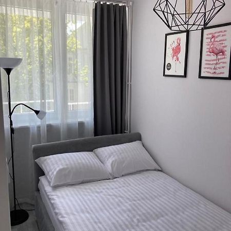코워브제크 Apartament 아파트 외부 사진